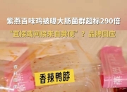 紫燕食品陷入“菌群超标”风波，门店扩张难挽营收下降 多个募投项目出现延期