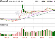 【e公司调查】这家A股公司，贸易链条遍布假国企！今早股价跌停！