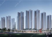 金科环境前三季度利润分配预案：每10股派发现金红利4.1元