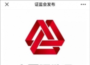 从严打击财务造假 深市现首批特别代表人诉讼