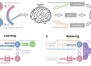 研究：人工智能在认知障碍测试中表现不佳