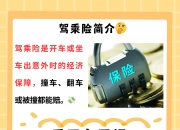 人保财险政银保 ,拥有“如意行”驾乘险，出行更顺畅！_2025年水生植物行业产业链结构及前景预测