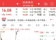 哈森股份：拟购买辰瓴光学100%股权及苏州郎克斯45%股权 股票明起复牌