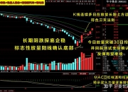 复盘2024基金业绩排名战！运气还是实力？重仓股都有什么特性？