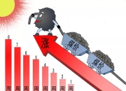 “它经济”刹车？年内暴涨36%！公募：有望持续增长