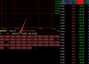 雪人股份5月23日龙虎榜数据