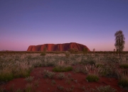 这一非洲国家宣布：降息！