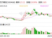 锦泓集团5月29日龙虎榜数据