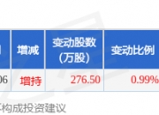 ST晨鸣5月30日大宗交易成交73.70万元