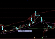 百利电气涨停，机构净卖出4470.09万元，沪股通净买入5244.81万元