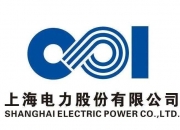 上海电力：推举董事、总经理黄晨代行董事长职责