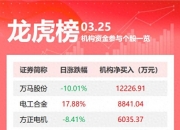 退市鹏博6月17日龙虎榜数据