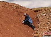 中国科学家推动“人工树叶”研发取得新进展