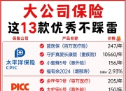 人保车险   品牌优势——快速了解燃油汽车车险,人保有温度_2024年钛铁矿行业发展现状、竞争格局及未来发展趋势分析