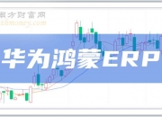 ERP板块午后发力 八大概念股盘点（名单）