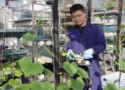 第五届“多多农研科技大赛”初赛四强出炉，植物工厂商业化成赛事角逐焦点