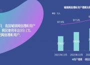 2025年互联网租车行业发展前景预测及投资战略研究_人保车险,人保财险 
