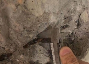 房屋检测概念上涨2.90%，8股主力资金净流入超千万元