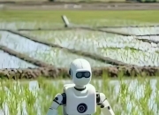 发展“机器人+”守护大国粮仓