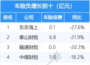 人保车险   品牌优势——快速了解燃油汽车车险,人保财险 _2025电磁炉市场现状分析及发展前景预测