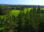 汇绿生态等成立绿色环境生态科技公司