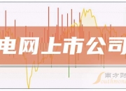 思源电气：公司对超级电容业务有信心