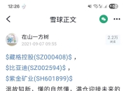 北方铜业（000737）2025年三季报简析：营收净利润同比双双增长，盈利能力上升