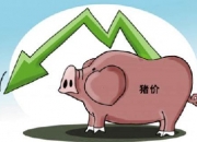 人保服务,拥有“如意行”驾乘险，出行更顺畅！_肥标猪价差收窄周期结束 猪肉行业市场现状及前景趋势研究分析