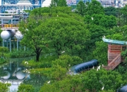 重庆：拟推动数据设施绿电直供，新建算力设施绿色算力资源占比达80%
