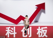 上交所：科创板公司一季度净利润同比大幅增长207%
