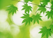人保伴您前行,人保有温度_2026智慧建造产业：绿色低碳技术成为行业标配