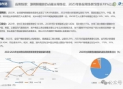 中国美容美发行业深度调研及未来发展趋势预测2024_人保服务 ,人保财险 