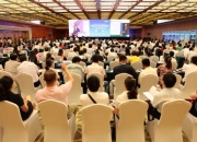 “夏日四大产业”走红海外 跨境卖家在SHEIN打开全球市场