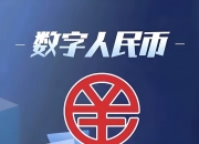 保险有温度,人保服务 _2026全球光电材料行业市场规模、领先企业国内外市场份额及排名