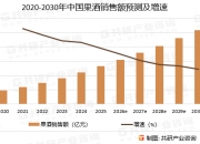 2026-2030年中国功率半导体行业发展潜力建议分析及深度调查预测_保险有温度,人保护你周全