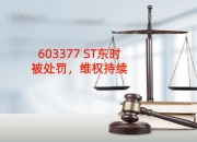 证监会：严厉打击财务造假等严重损害投资者权益的违法行为 进一步增强投资者入市投资安全感