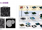 人保服务 ,人保服务_2026中国合成生物学行业：从