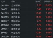 电力板块持续走强 上海电力等多股涨停