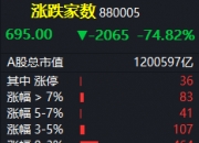 5月21日纬达光电涨停