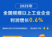 帝尔激光赴港IPO：2025年净利下滑，收入增长降速，客户及供应商集中度双高