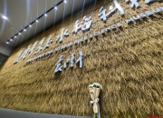 利仁科技5月22日龙虎榜数据