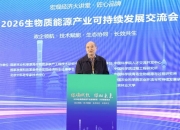 2026中国煤制甲醇行业：是国家能源战略和工业发展的重要一环_人保伴您前行,人保有温度