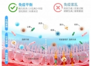 人保伴您前行,人保护你周全_新规重塑赛道：2026年纺织产品入市调研及行业升级趋势洞察