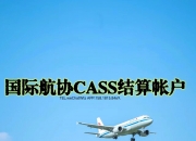 国际航协货运日举行：从标准落地走向行业韧性与数字化领导力