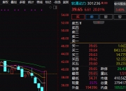 中京电子6月5日龙虎榜数据