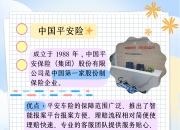 人保车险   品牌优势——快速了解燃油汽车车险,人保护你周全_2026-2030年中国AI算力行业全景调研与发展前景预测分析