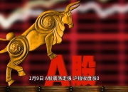 嘉环科技涨停，沪股通龙虎榜上净买入1221.74万元