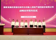 2024年中国无糖碳酸饮料行业的市场发展现状及投资风险分析_人保财险政银保 ,人保护你周全