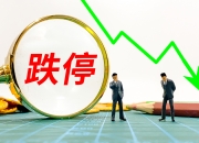 新莱应材龙虎榜数据（6月9日）
