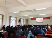 学习贯彻党的二十届三中全会精神 深市上市公司按下新质生产力加速键